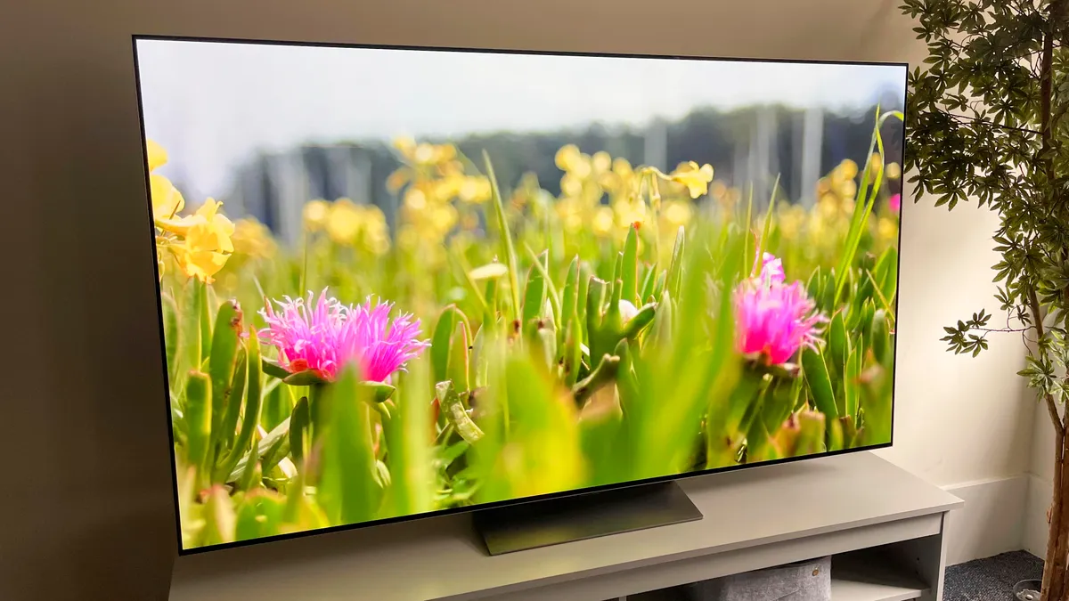  OLED      LG -  -   88