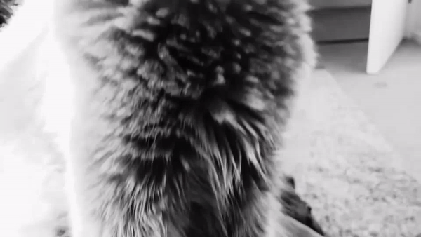          .    ,        .      ,   ?-9