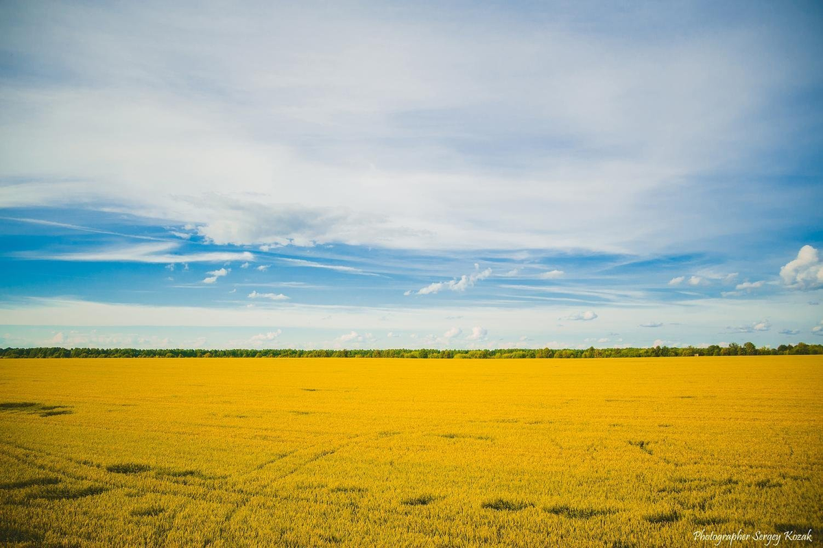 Украинская степь