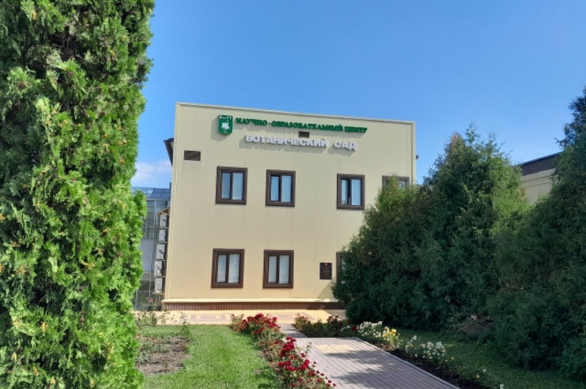    Для природы и жизни.