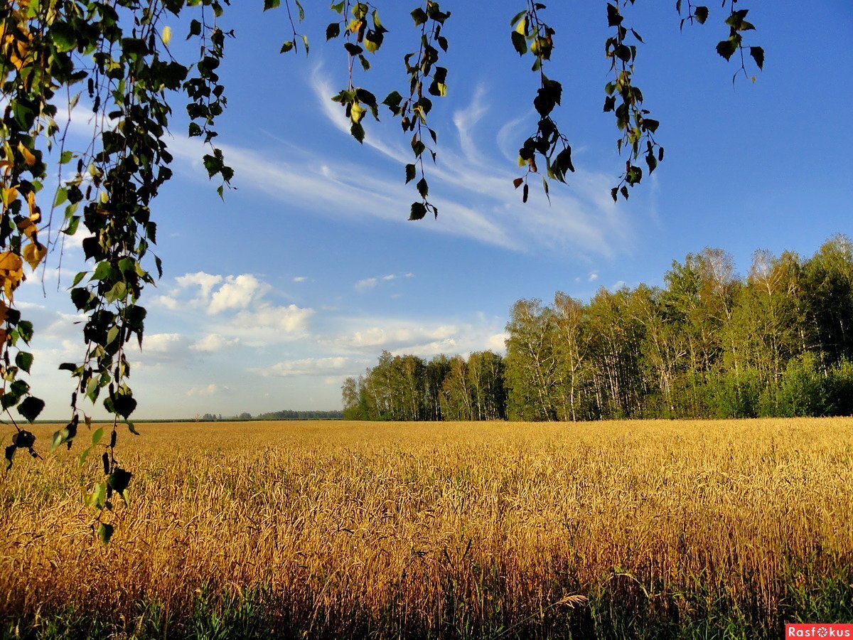 Фото взято из открытого доступа в Интернете