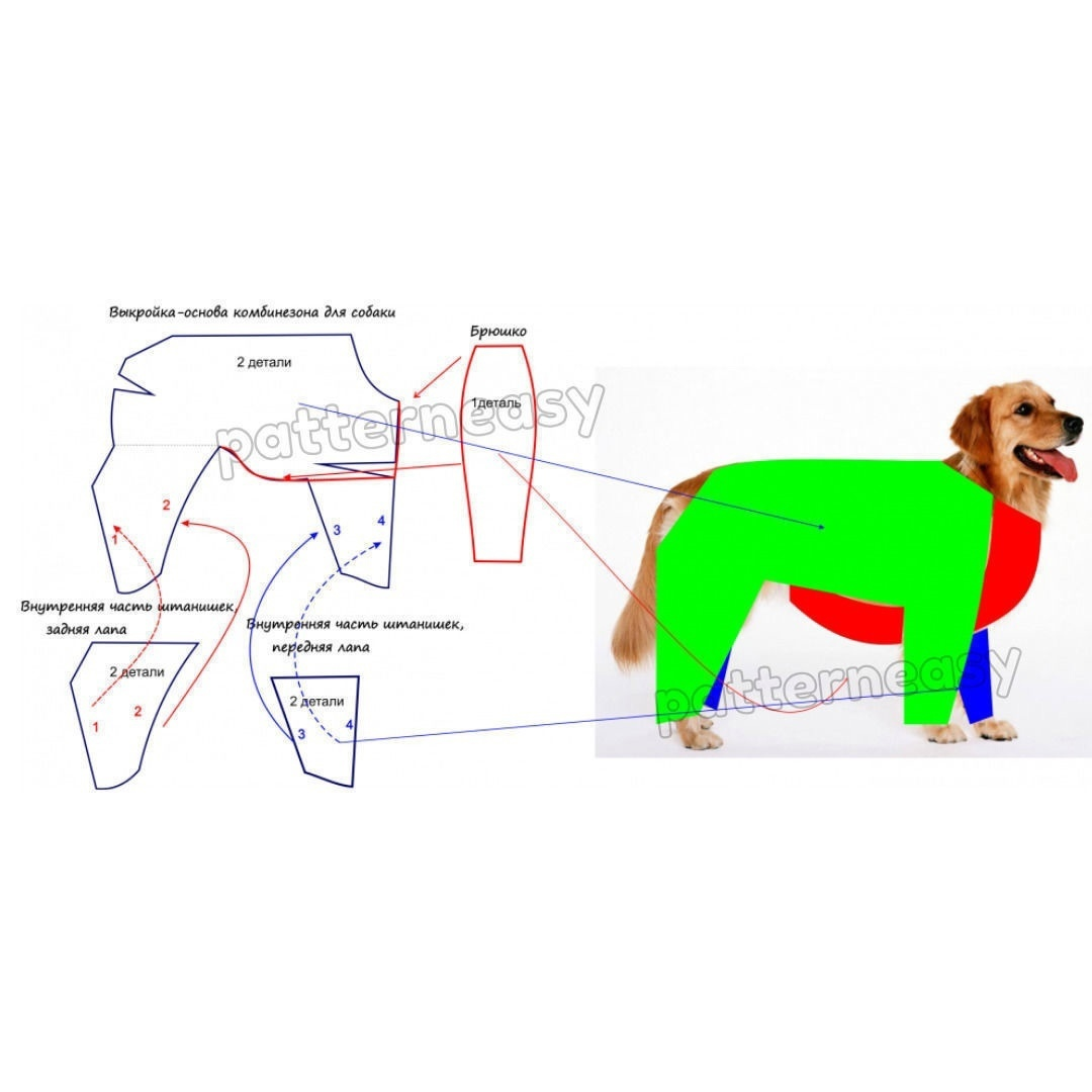 Выкройка комбинезона для собаки: варианты моделей и кроя, фото и видео мк