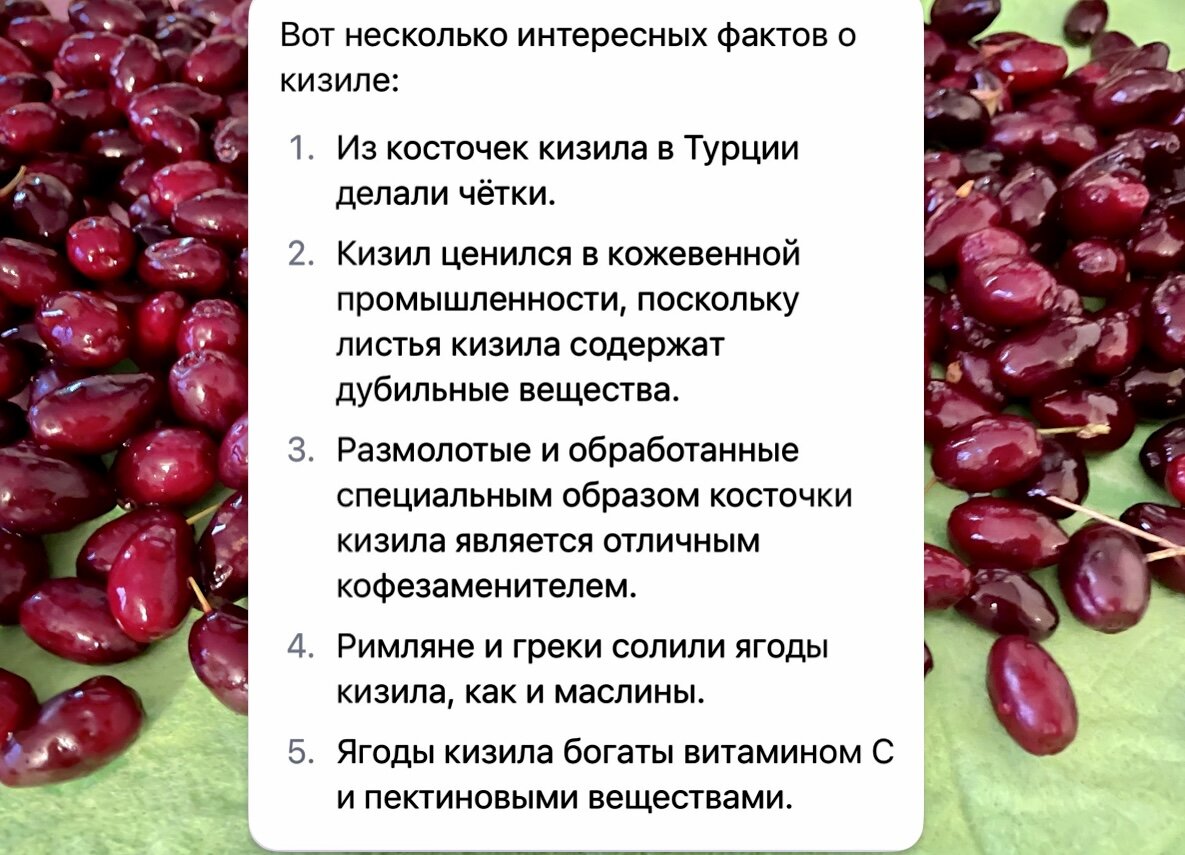 Кизил: 5 интересных фактов и лучший способ заготовить на зиму | Крути  баранку! | Дзен