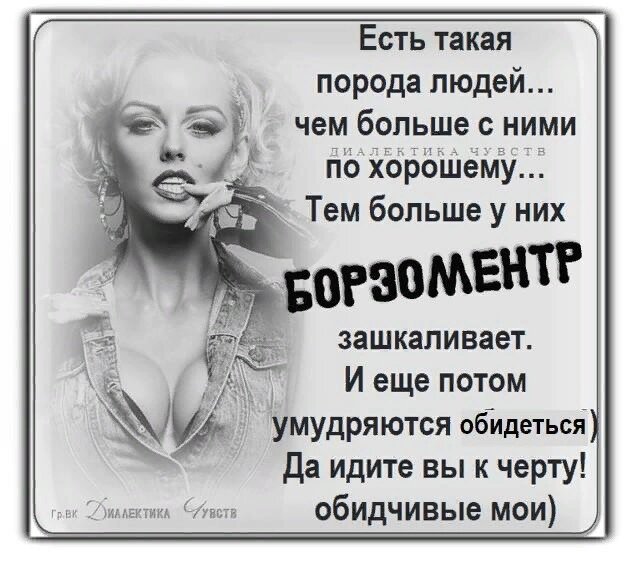 картинка из интернета