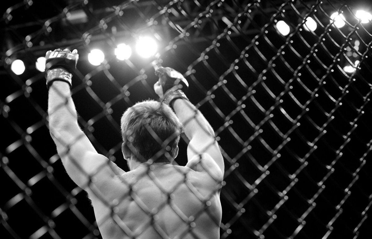 Картинка из свободного доступа в Интернете