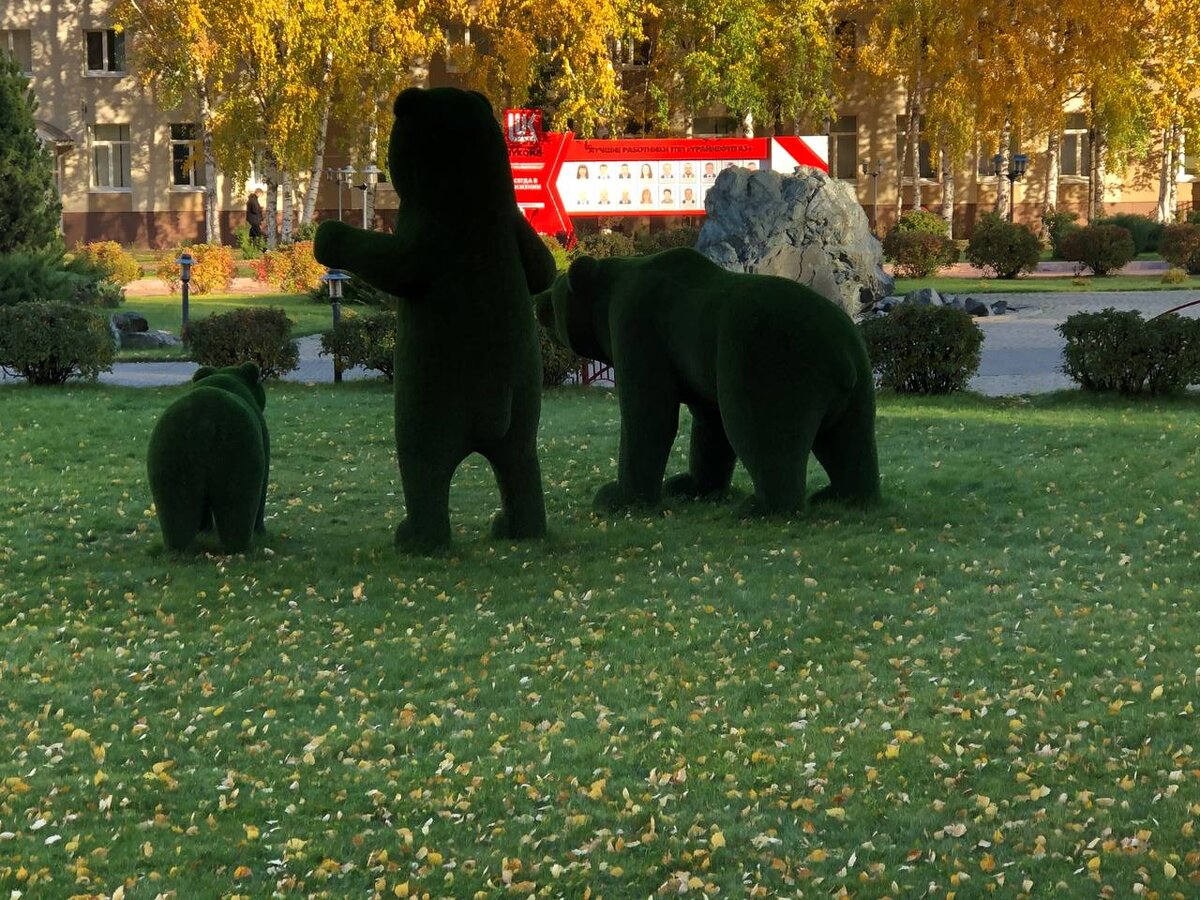 Фото автора. Неподалеку на спуске есть еще медведица и два медвежонка! Медвежья Сторона!