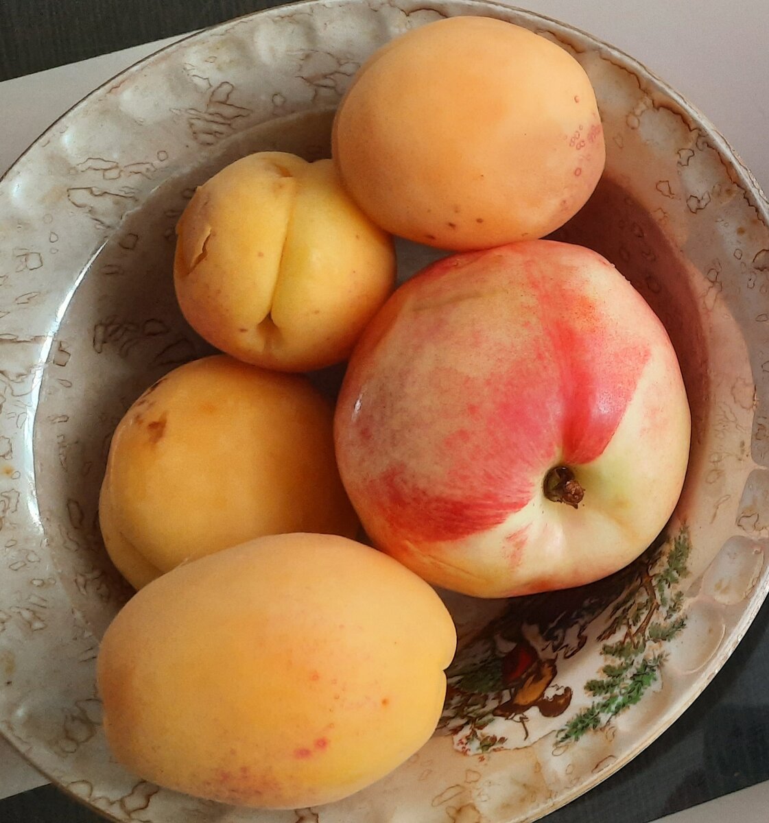 Люблю сезон персиков и абрикосов