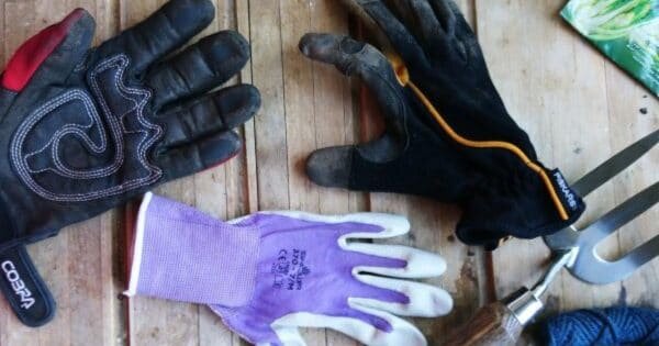 фото: pixabay.com