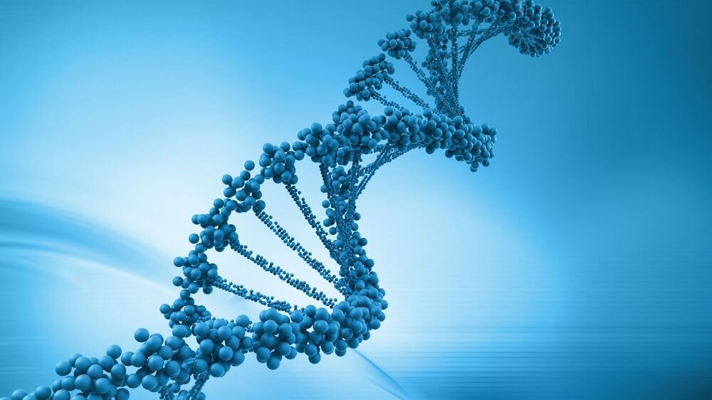 Фото: vladtime.ru