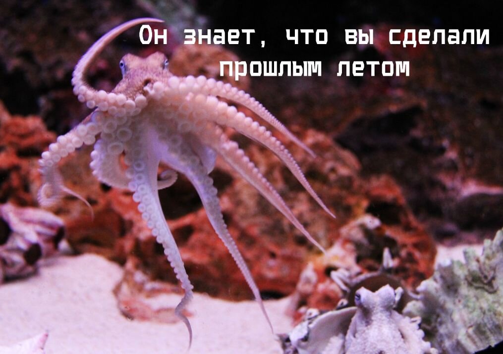 И он совершенно не против использовать это в своих интересах