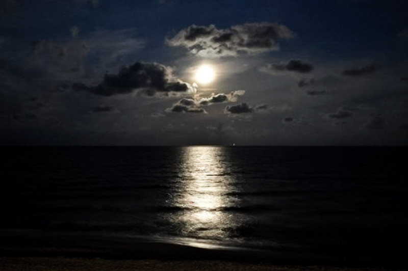 фото с сайта http://razvilka.com.ua