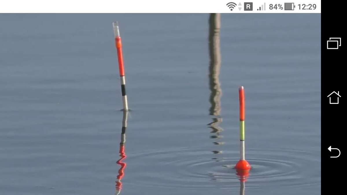 фото поплавок для ловли карася