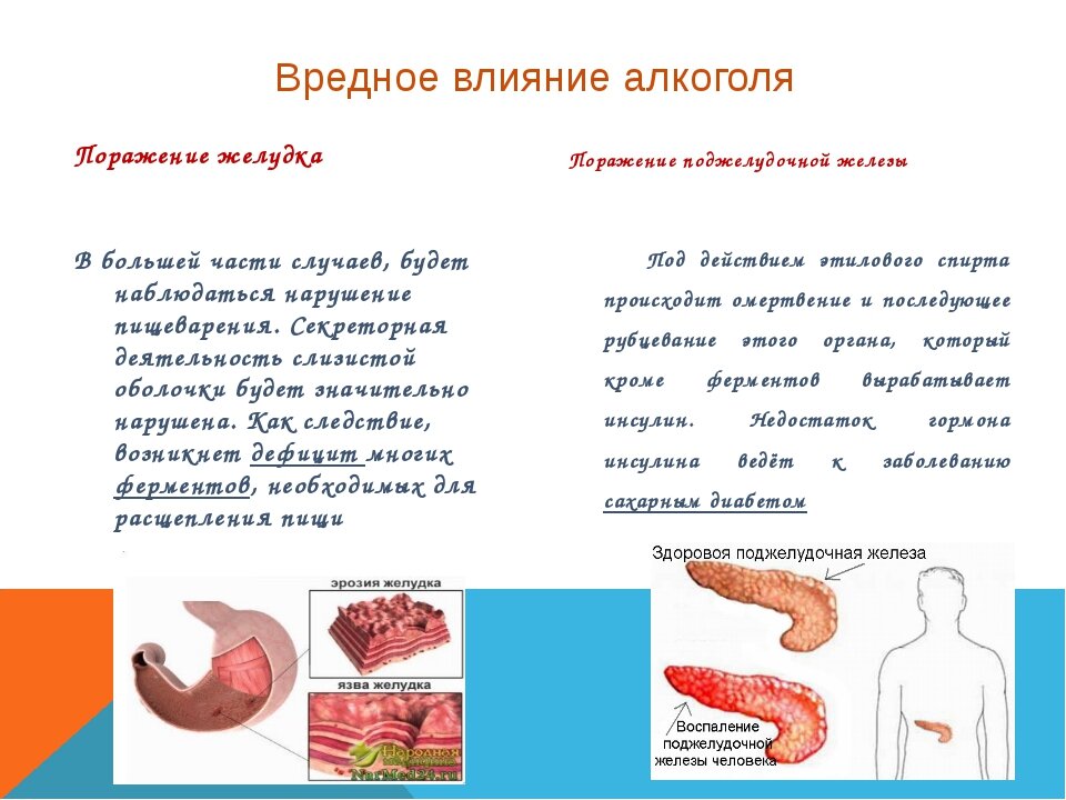 Печень влияет на желудок