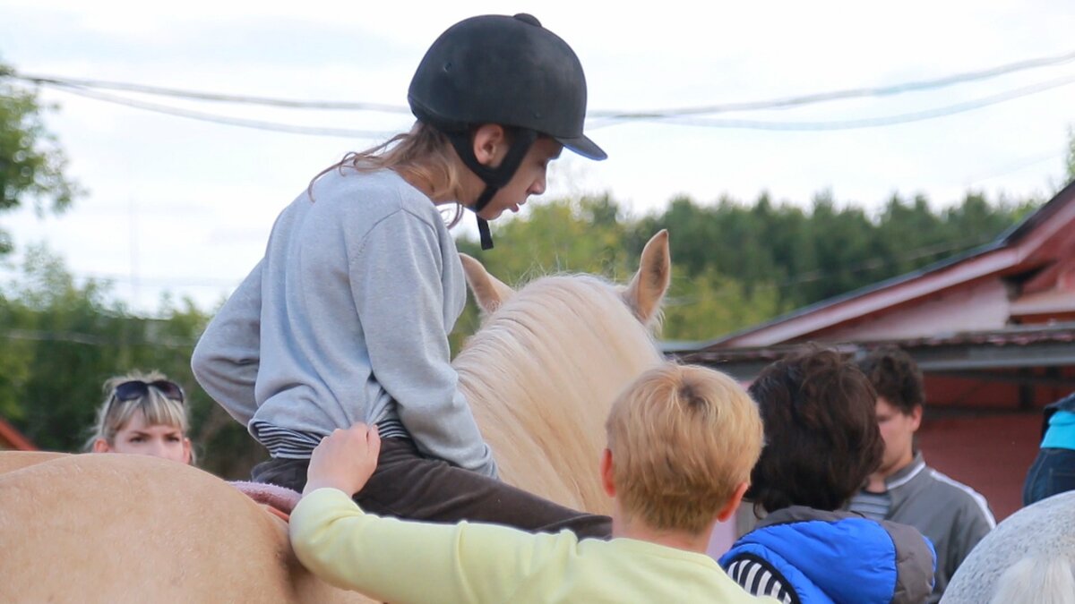 Именно поэтому второй темой круглого стола стала обсуждение накопившихся проблем и возможностей дальнейшего развития иппотерапии в Уфе. 