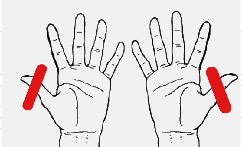 сколько пальцев на руке. десять пальцев. сколько пальцев на руке. пальцы сколько букв. сколько пальцев.