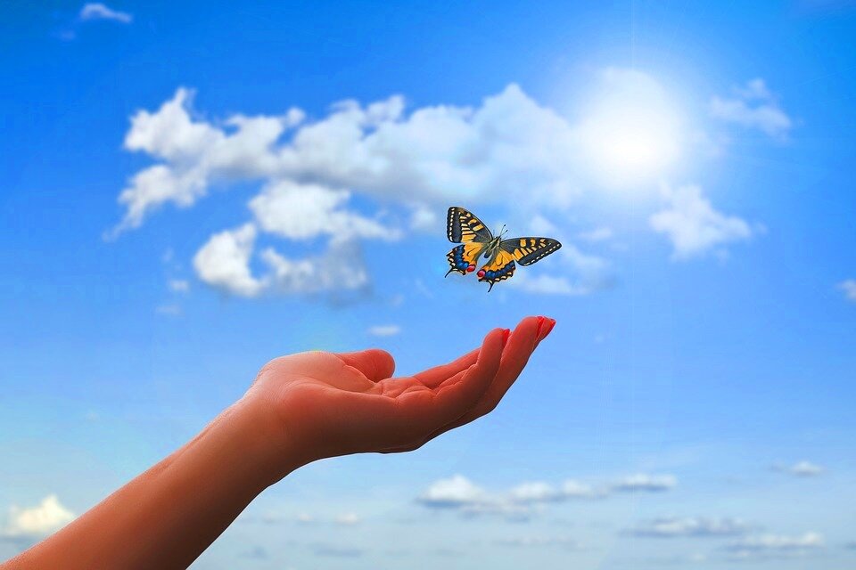  Изображение с сайта https://pixabay.com (Creative Commons CC0)