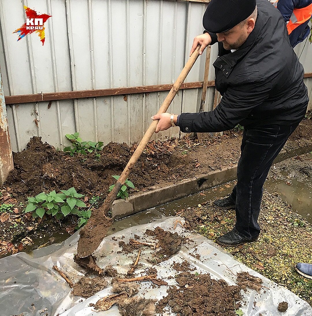 Иногда в приютах обнаруживают нелегальные собачьи могильники. Фото: Наталья ВАРСЕГОВА / «Комсомольская правда» 