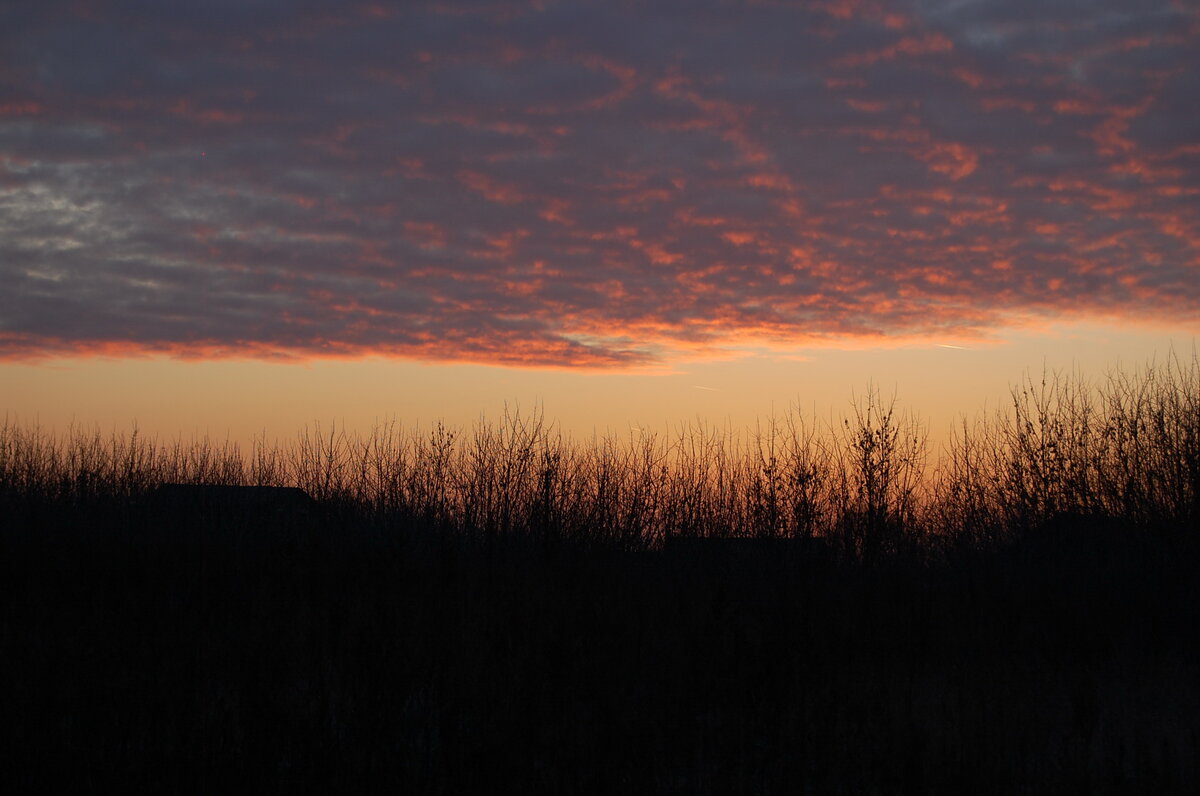 Фото автора. Зимний рассвет