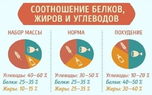 Соотношение белков, жиров и углеводов.