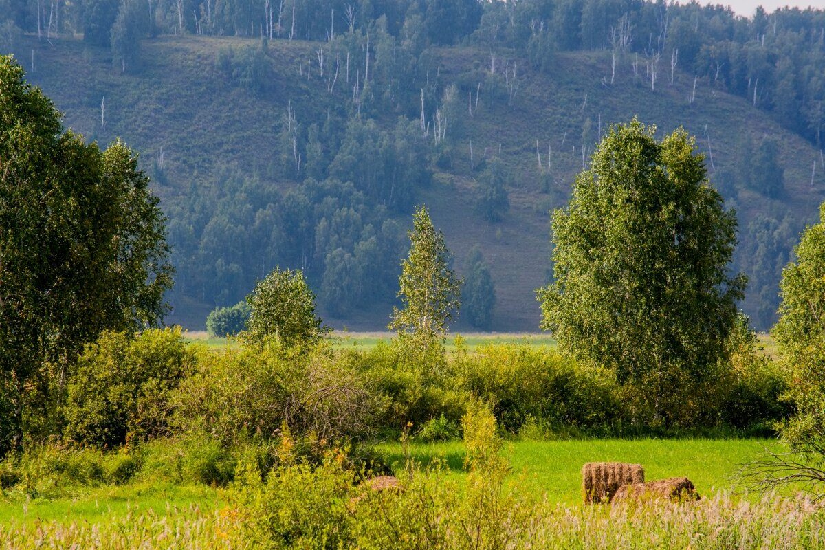 Салаватский район картинки