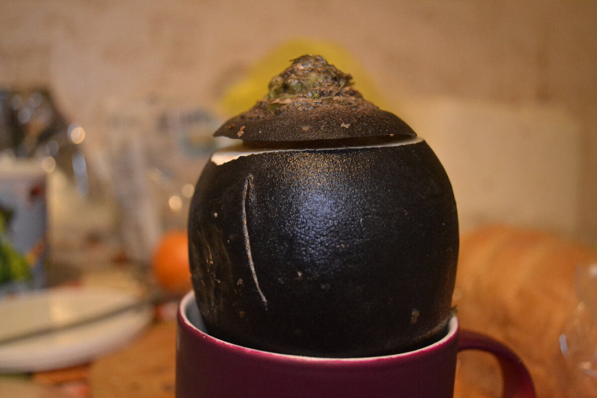 Закрыть и дать постоять и по ложечке пить!