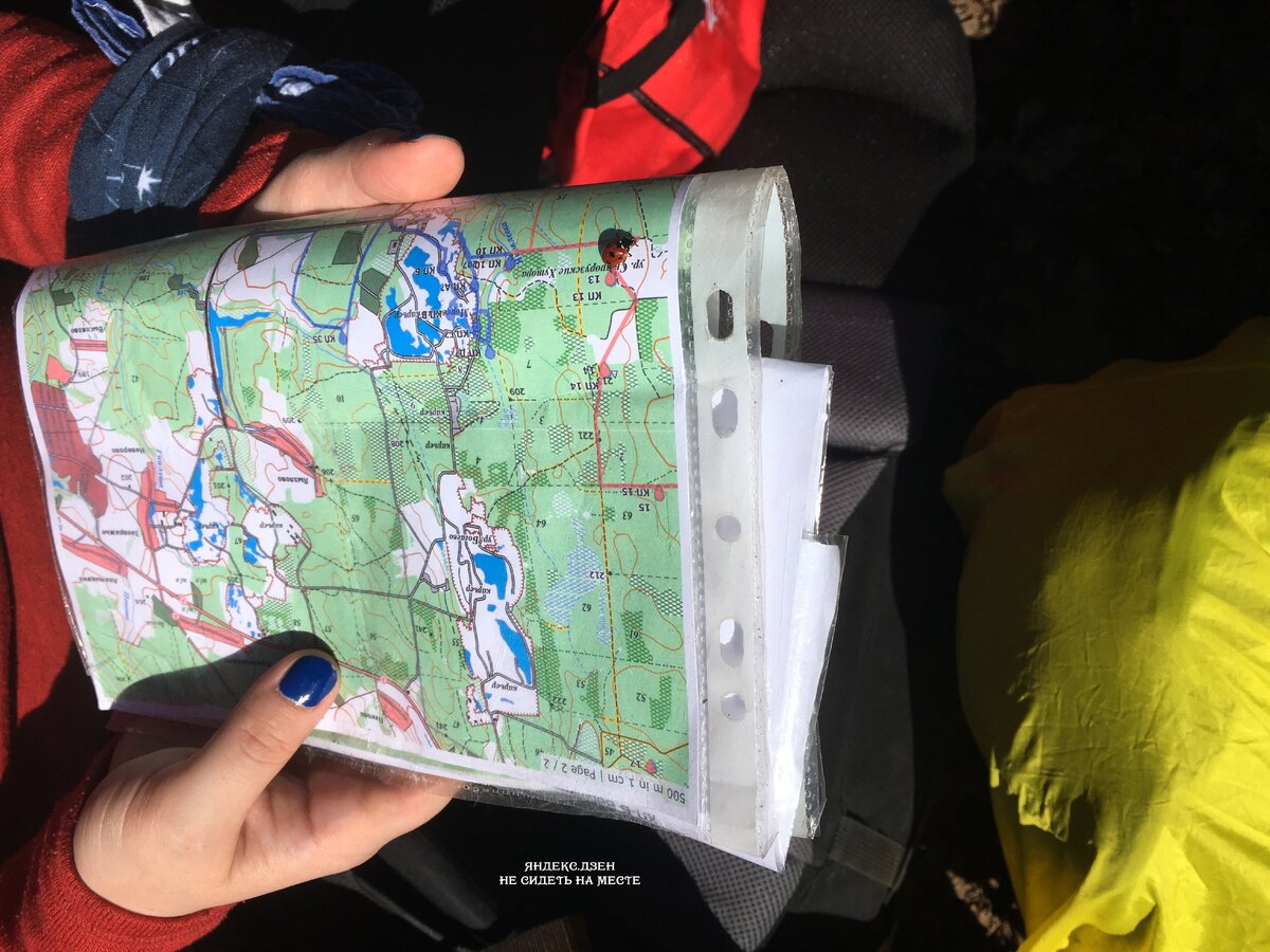 Божья коровка одобряет нашу карту (ориентирование "Звездочка")