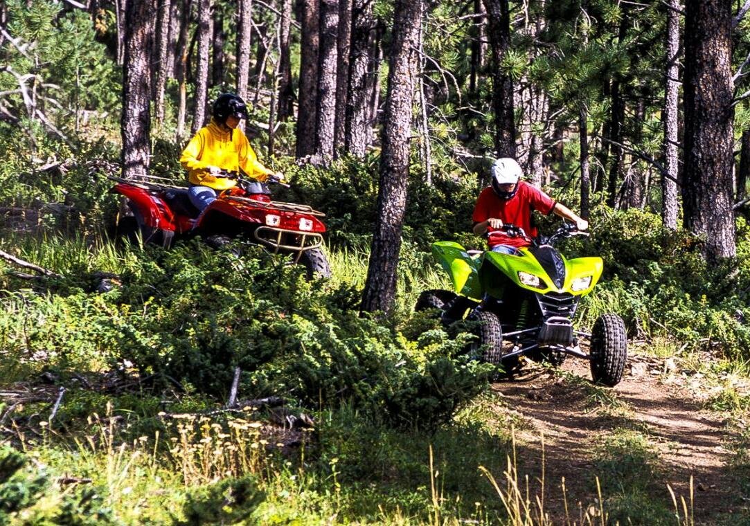 Закон и квадроциклы. Без «прав» на дороге обдерут как липку! | Burns  Offroad | Дзен