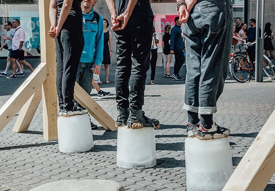 Франциска Шардт