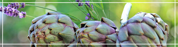 Артишок и лаванда.