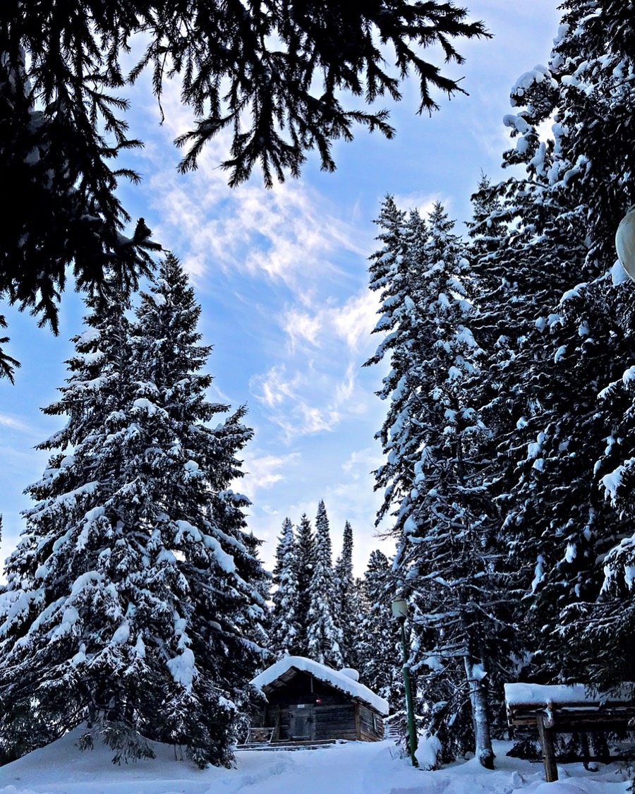 Музей под открытым небом