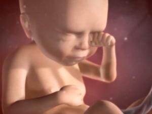 Фото из открытых источников в интернете. Если это ваша фотография, и вы считаете, что она не должна здесь быть, напишите мне. Я её удалю. С уважением ко всем авторским правам.