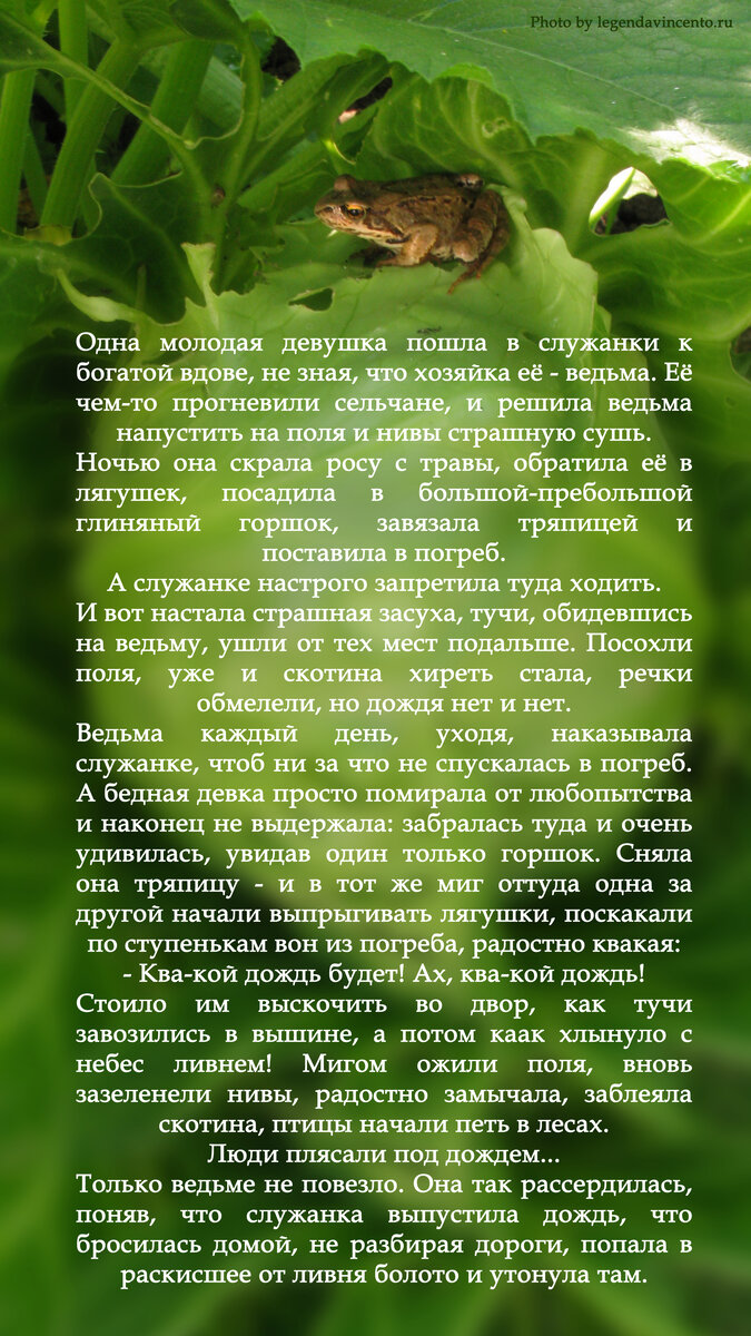 Где искать подклад
