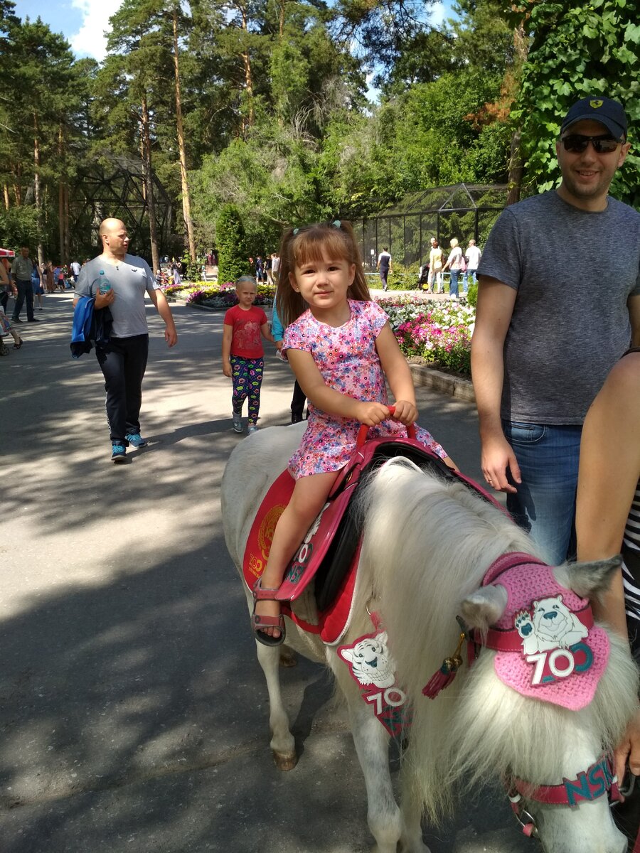 в зоопарке, 2017г