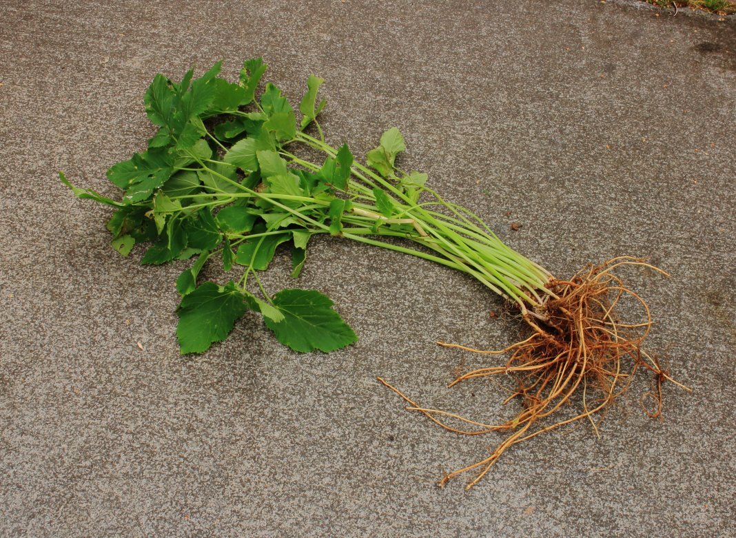 фото Яндекс.картинки