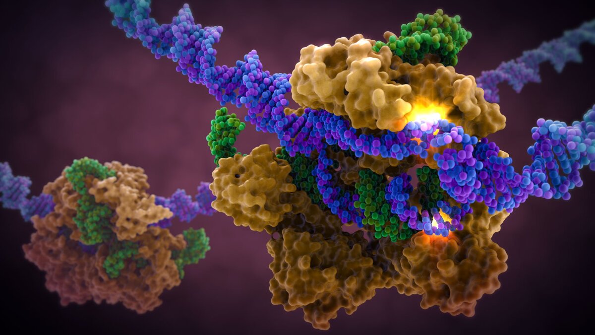 CRISPR/Cas9 редактирование ДНК, прорыв генной инженерии
