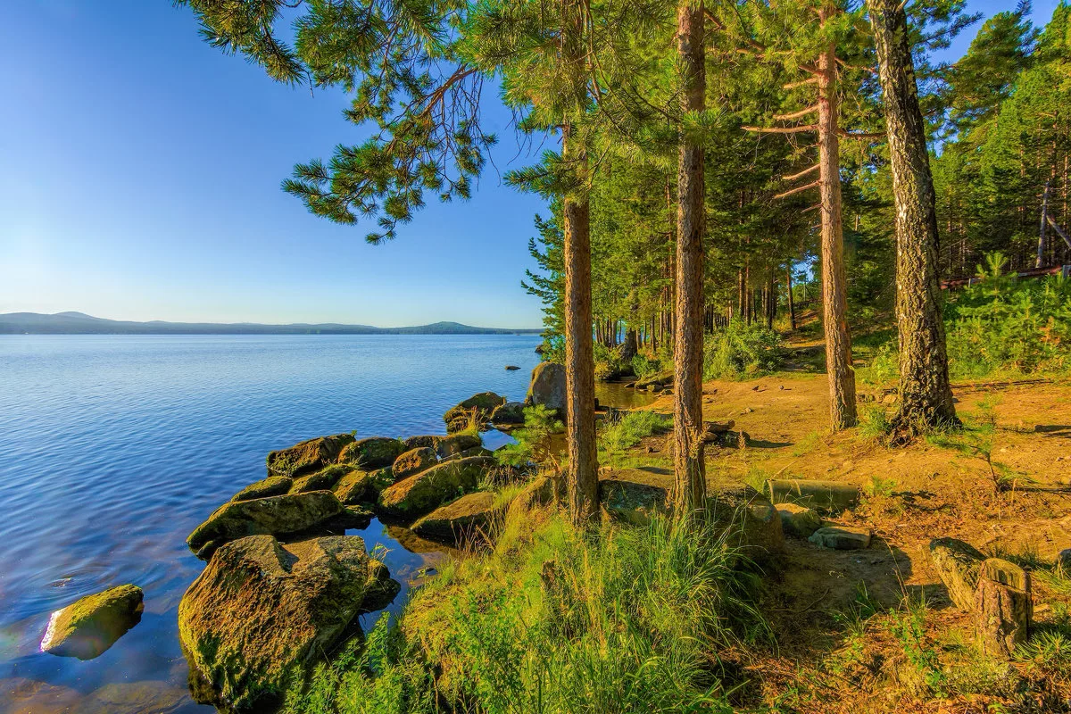 Сосновый лес, гранитные плиты, выходящие на поверхность. Фото из открытых источников