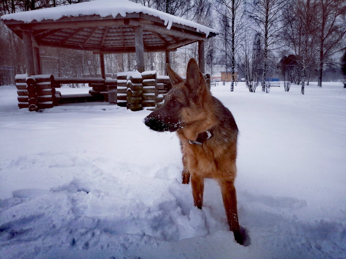 Такая красота и доброта предполагает только позитивное окружение!