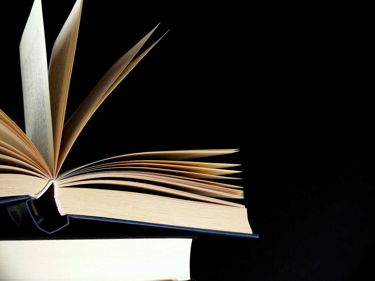 Изображение moritz320 с сайта Pixabay 