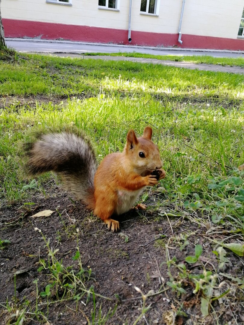 Фото просто отменное. Супруга делала. 