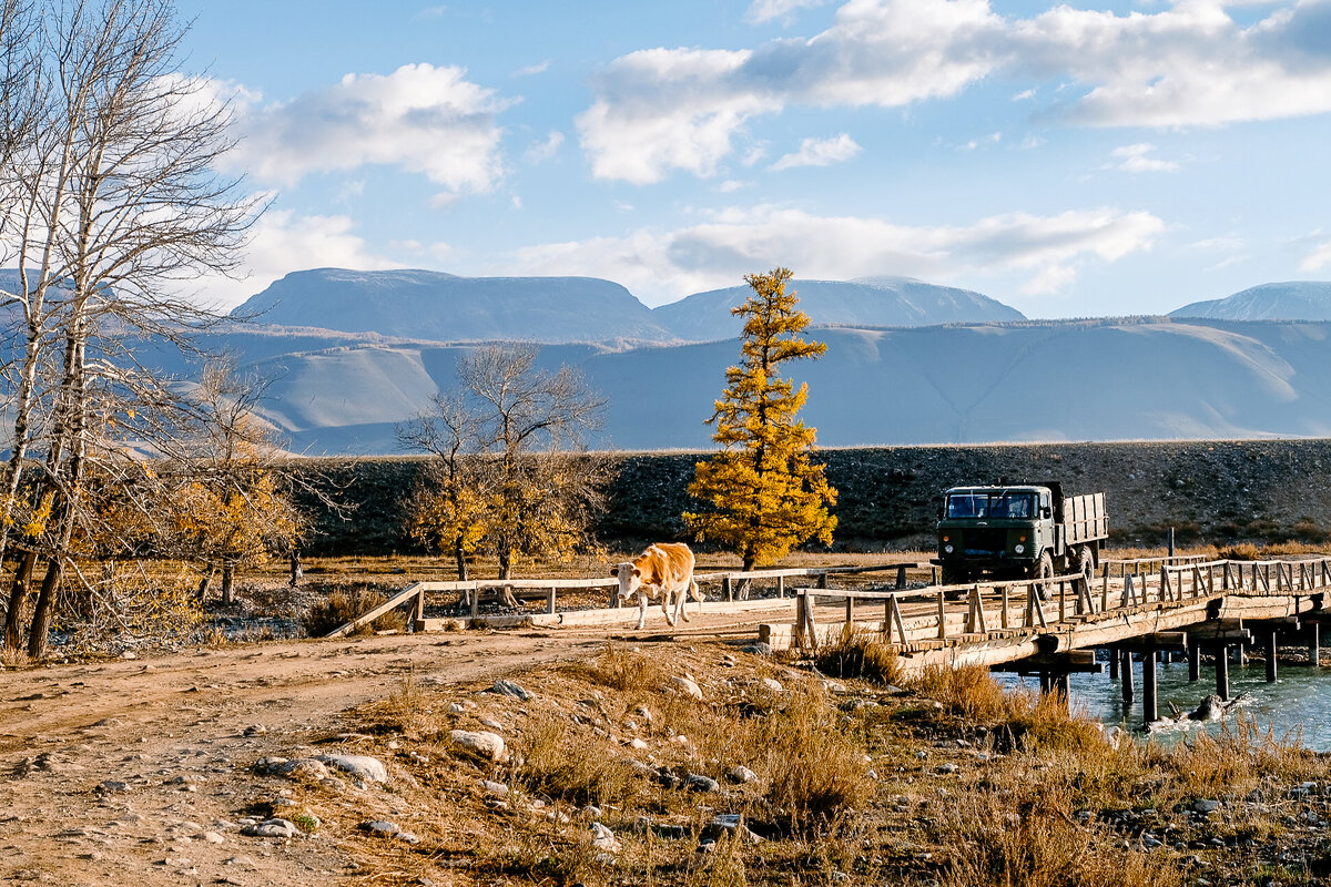 ⛰Горный Алтай: 15 моих фотографий про то как живут в одном из самых красивых мест России