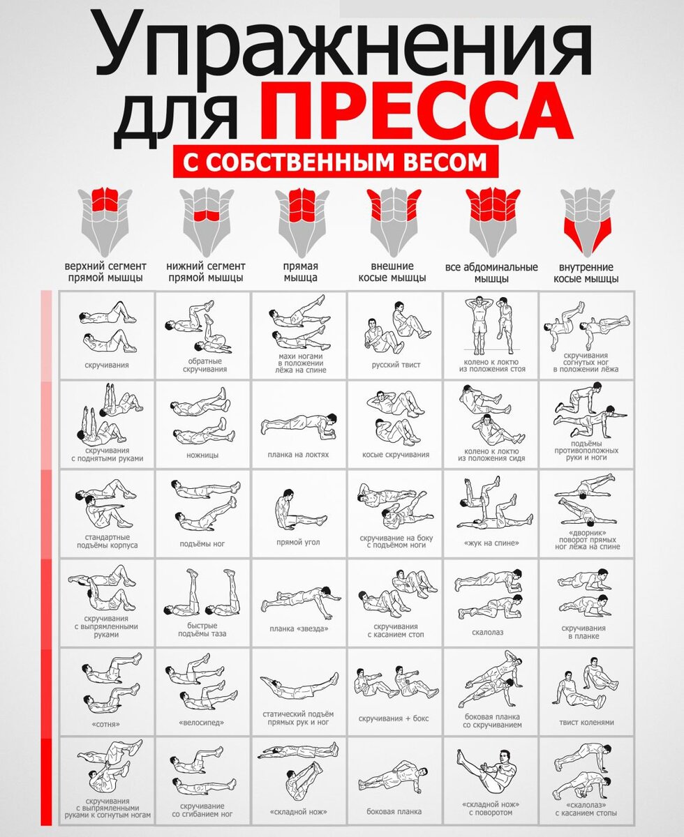 Домашние упражнения на пресс для мужчин. 23 февраля посвящается |  Прикладная кинезиология + сезонные рецепты здоровья | Дзен