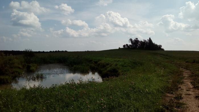 Курган Синеуса