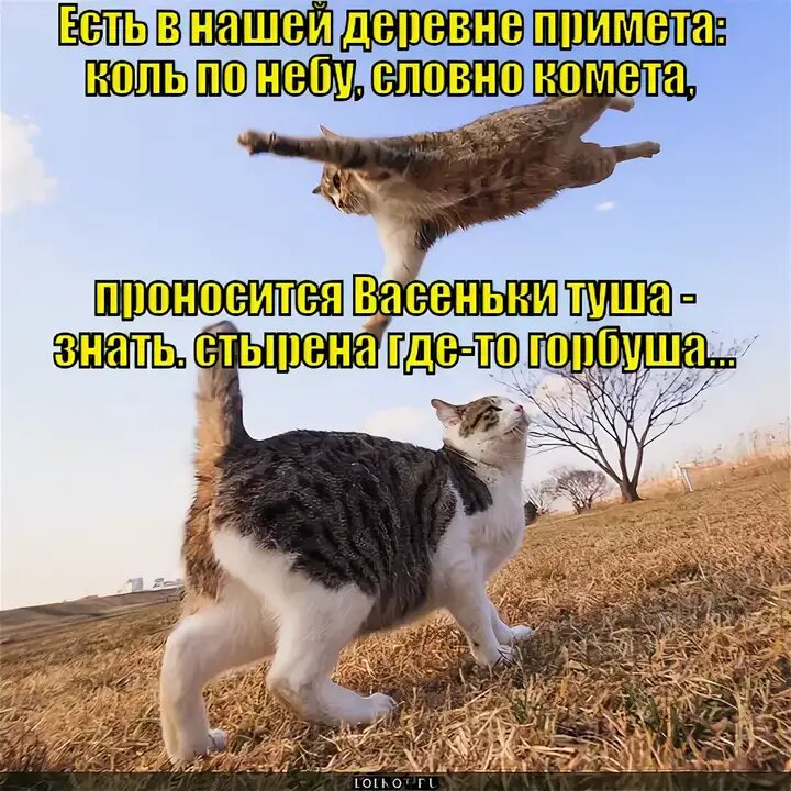 Плохая примета убирать теплые вещи раньше мая картинки