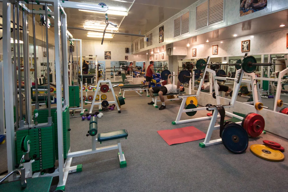 Все изображения в статье взяты из открытых источников