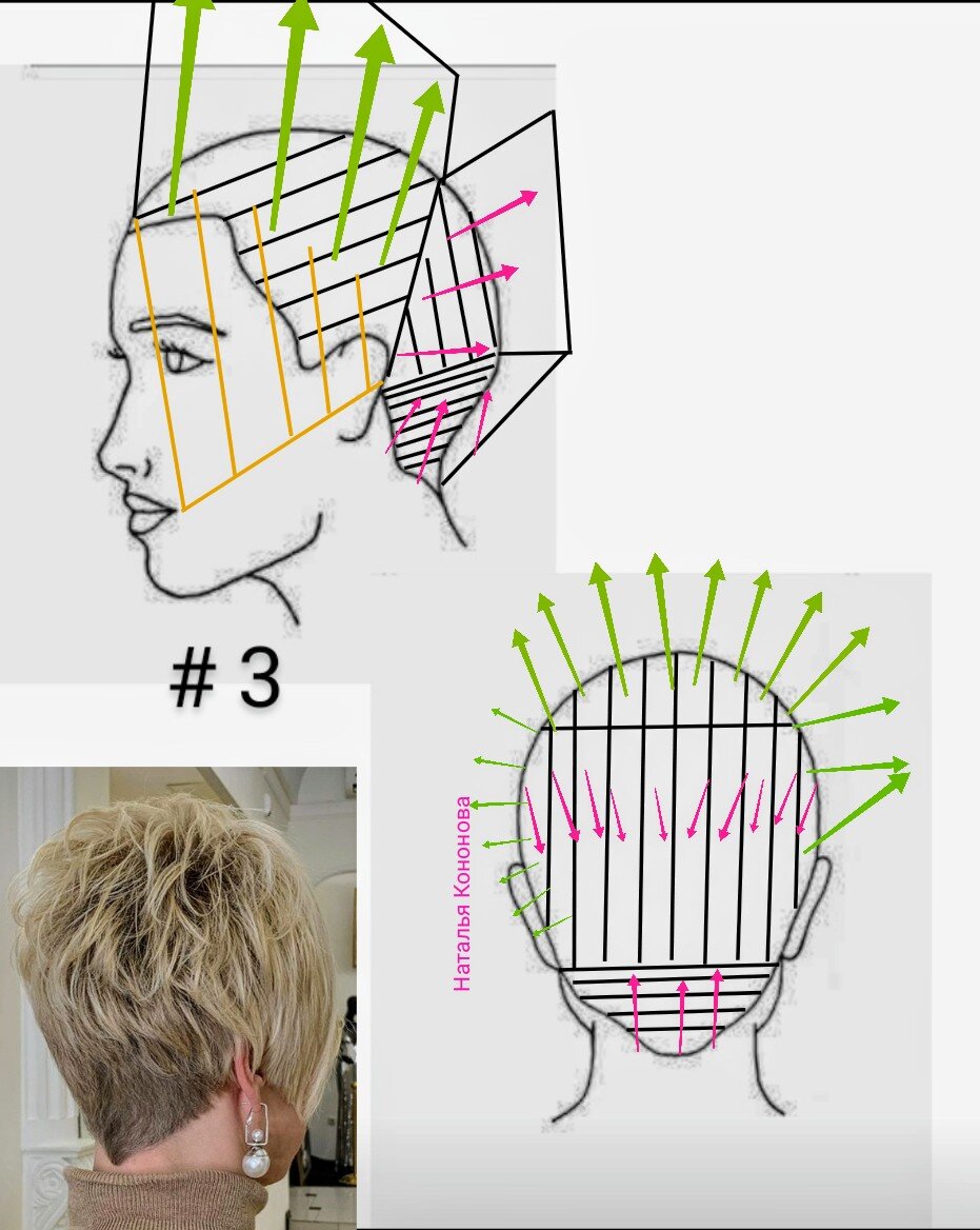 Схемы стрижки коротких волос. Схема короткой женской стрижки. Женская модельная короткая стрижка схема. Схема стрижки на короткие волосы для женщин. Схема стрижки Боб на короткие.