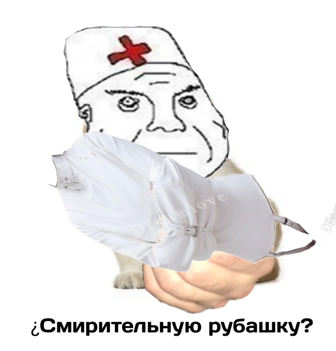 Пора в дурку картинки