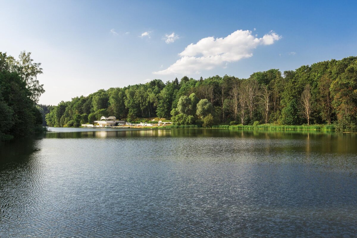 А вот и река Синичка с прилегающим лесным массивом. 