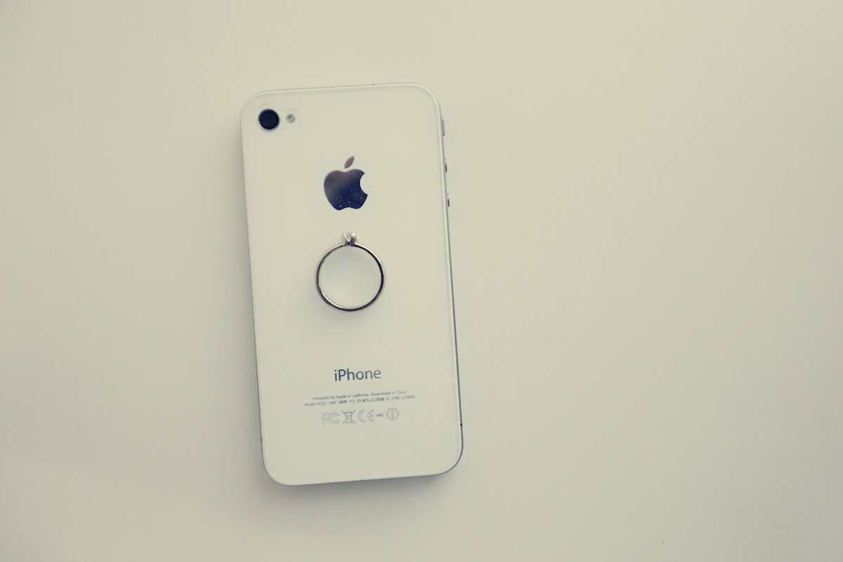 Фото: Frant&Fifa