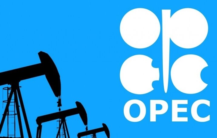 ОПЕК - организация стран экспортеров нефти