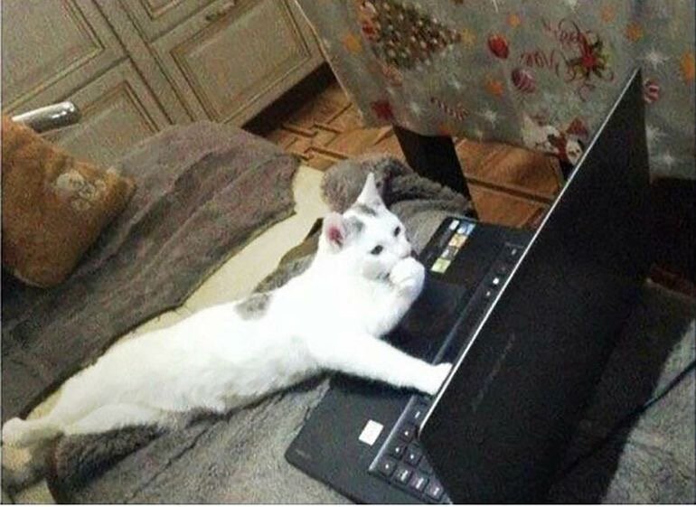 -2